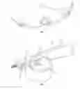 Fig. 04 - Elastic member, and elastic structural member capable of implementing bearing capability combining rigidity and flexibility