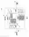 Fig. 02 - Split power infinitely variable transmission architecture incorporating a planetary type ball variator with multiple fixed ranges