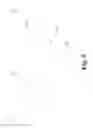 Fig. 06 - Input clutch assembly for infinitely variable transmission