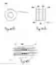 Fig. 14 - Temperature controlled purge valve with washer/O-ring seal stack