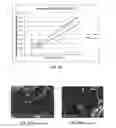 Fig. 12 - Pipe Section having Polyarylene Sulfide Composition Barrier Layer