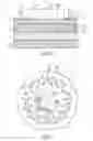 Fig. 02 - Circuit substrate for carrying at least one light-emitting diode and light-emitting structure for providing illumination