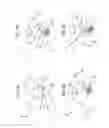 Fig. 06 - Lighting device with faceted reflector