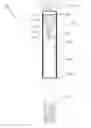 Fig. 01 - Multipurpose solar lighter