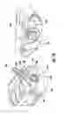 Fig. 19 - Cooling system for ice maker