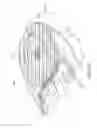 Fig. 11 - Electronic thermometer