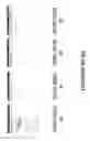 Fig. 15 - METHOD FOR SELECTIVE PIN-POINTING OF UTILITY GAS LEAKS