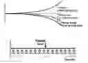 Fig. 01 - METHOD FOR CALCULATING DAMPING BASED ON FLUID INERTIA EFFECT AND FATIGUE TEST METHOD AND APPARATUS USING THE SAME