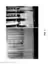 Fig. 02 - COMPOSITIONS AND METHODS FOR REMOVING PETROLEUM OIL FROM SOIL