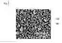 Fig. 03 - Substrate for surface enhanced Raman scattering spectroscopy and devices using same