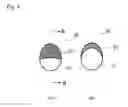 Fig. 05 - Substrate for surface enhanced Raman scattering spectroscopy and devices using same