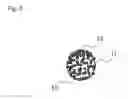 Fig. 06 - Substrate for surface enhanced Raman scattering spectroscopy and devices using same