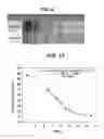 Fig. 08 - Sensor for detecting saccharide and manufacturing method thereof and detection method of glycated hemoglobin using the same