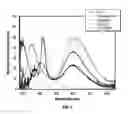 Fig. 08 - Portable spectrometer for the presumptive identification of illicit drugs and substances of abuse