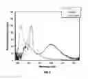 Fig. 09 - Portable spectrometer for the presumptive identification of illicit drugs and substances of abuse