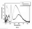 Fig. 19 - Portable spectrometer for the presumptive identification of illicit drugs and substances of abuse