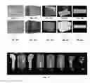 Fig. 22 - Systems and methods for performing truncated-correlation photothermal coherence tomography