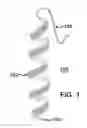 Fig. 02 - Method for detecting proteases and active infection in biological fluids and tissues