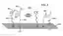 Fig. 03 - Method for detecting proteases and active infection in biological fluids and tissues