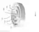 Fig. 23 - Piezoelectric shear rings for omnidirectional shear horizontal guided wave excitation and sensing