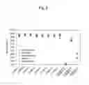 Fig. 04 - Adsorbent and analysis method using same