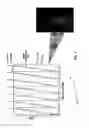 Fig. 08 - SWATH# data-independent acquisition technology for the detection of host cell protein contaminants in biotherapeutics protein products