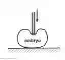 Fig. 01 - Mechanical biomarkers for oocyte and embryo viability