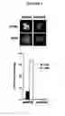Fig. 04 - METHODS FOR DRUG DISCOVERY