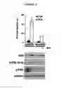 Fig. 05 - METHODS FOR DRUG DISCOVERY