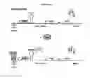Fig. 11 - METHODS FOR DRUG DISCOVERY