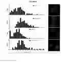 Fig. 13 - METHODS FOR DRUG DISCOVERY