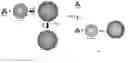 Fig. 01 - Solid supported artificial cell membrane system