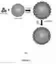 Fig. 02 - Solid supported artificial cell membrane system