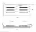 Fig. 02 - FABRIC-BASE BIOCHEMICAL DETECTING DEVICE AND THE FABRICATING METHOD THEREOF