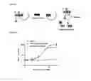 Fig. 09 - PROTEASE-RESPONSIVE PEPTIDE BIOSENSORS AND METHODS FOR ANALYTE DETECTION