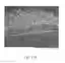 Fig. 13 - Magnetic immunosensor and method of use