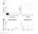 Fig. 05 - Detection of gluten-specific t-cells