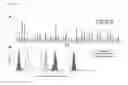Fig. 06 - Detection of gluten-specific t-cells
