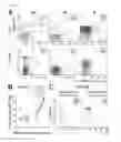 Fig. 07 - Detection of gluten-specific t-cells