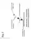 Fig. 04 - Peptides and methods for the detection of lyme disease antibodies