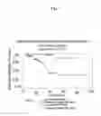Fig. 08 - PERINUCLEOLAR COMPARTMENT AS A CANCER MARKER