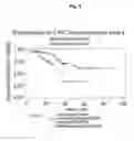 Fig. 09 - PERINUCLEOLAR COMPARTMENT AS A CANCER MARKER