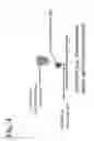 Fig. 05 - Peptides, devices, and methods for the detection of anaplasma antibodies