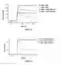 Fig. 11 - Methods And Compositions For Determining Fortilin Levels