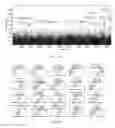 Fig. 24 - Tuberculosis Biomarkers and Uses Thereof