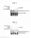 Fig. 02 - Method of measuring lipoprotein's capacity to accept cholesterol