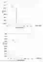 Fig. 14 - QUANTITATIVE MOLAR CONCENTRATION DETECTION OF SPECIFIC APOLIPOPROTEIN-CONTAINING PARTICLES PRESENT IN BODILY FLUIDS BY USING CAPILLARY ELECTROPHORESIS