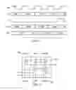 Fig. 05 - Tap dual port router circuitry with update and capture inputs