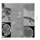 Fig. 17 - Magnetic resonance maps for analyzing tissue