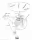 Fig. 02 - Disruption detection of a positioning measurement differential correction message of a satellite geolocation device